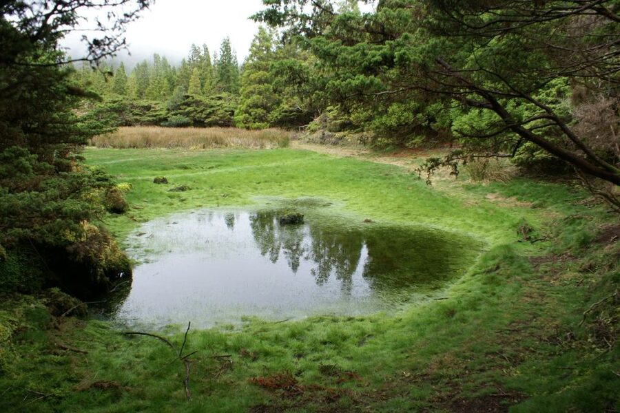 Terceira Island: 4x4 Land Rover Tour with Traditional Lunch - FAQ