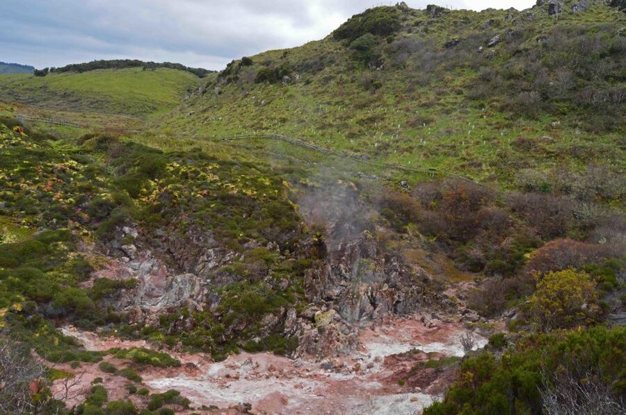 Terceira Island: Caves and Craters Tour - Biscoitos natural pools: a swim break in volcanic terrain