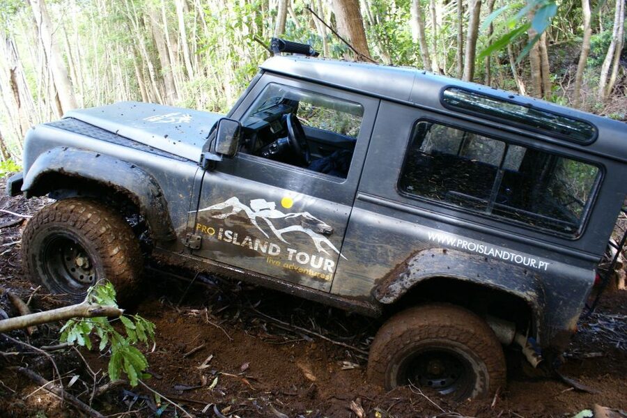Terceira Island: Full-Day Mud Adventure & Traditional Lunch - Should You Book This Mud Adventure on Terceira?
