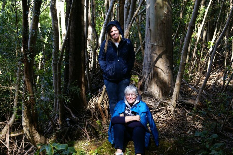 Terceira Island: Full-Day Mud Adventure & Traditional Lunch - Terceira by Jeep, Not by Road Map