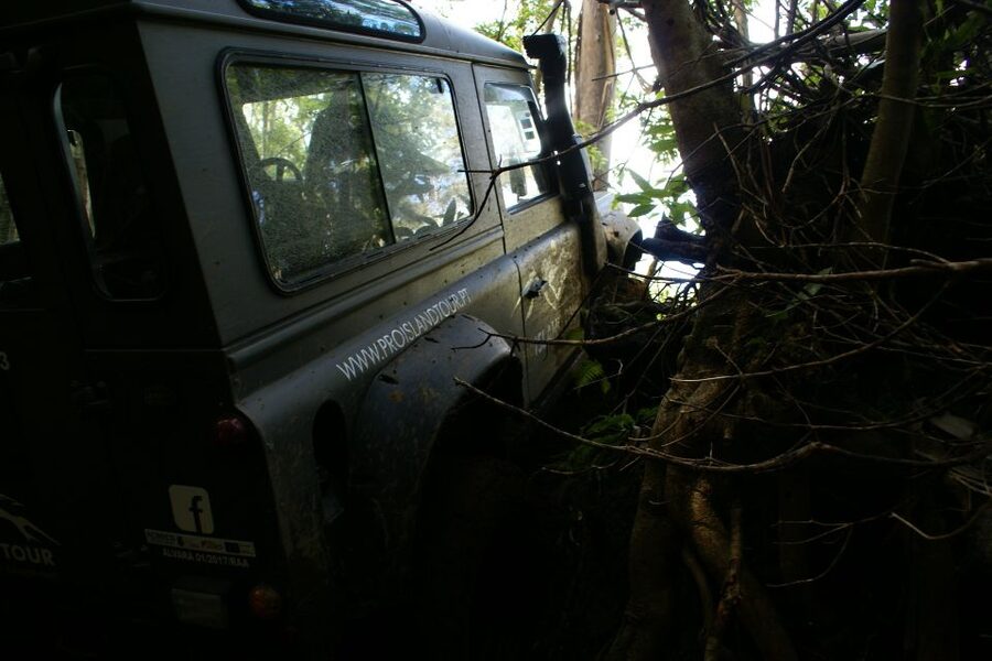 Terceira Island: Full-Day Mud Adventure & Traditional Lunch - Price and Value at $229 for an 8-Hour Adventure