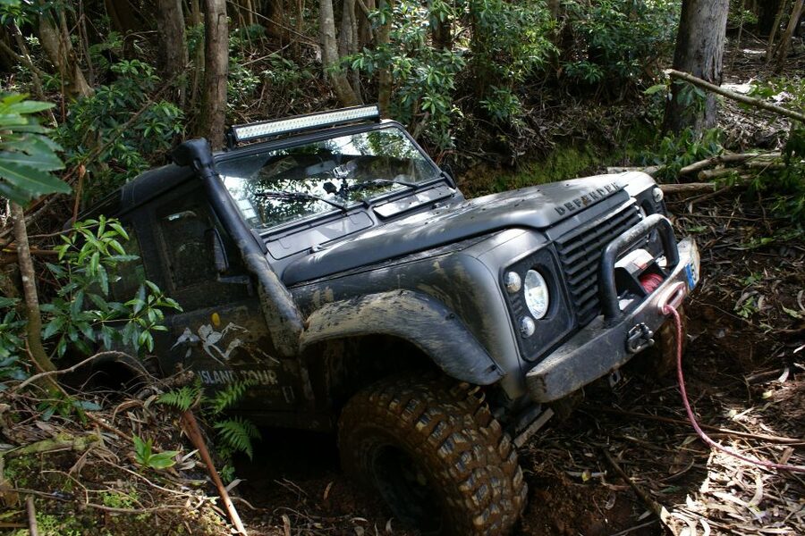 Terceira Island: Full-Day Mud Adventure & Traditional Lunch - Who This Tour Suits Best (and Who Should Skip It)