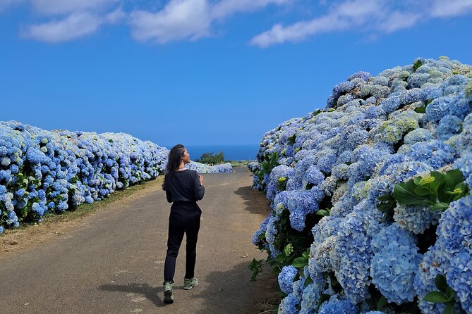 Terceira Island Highlights with Local Guide - Salga Bay: history told while you look at the water