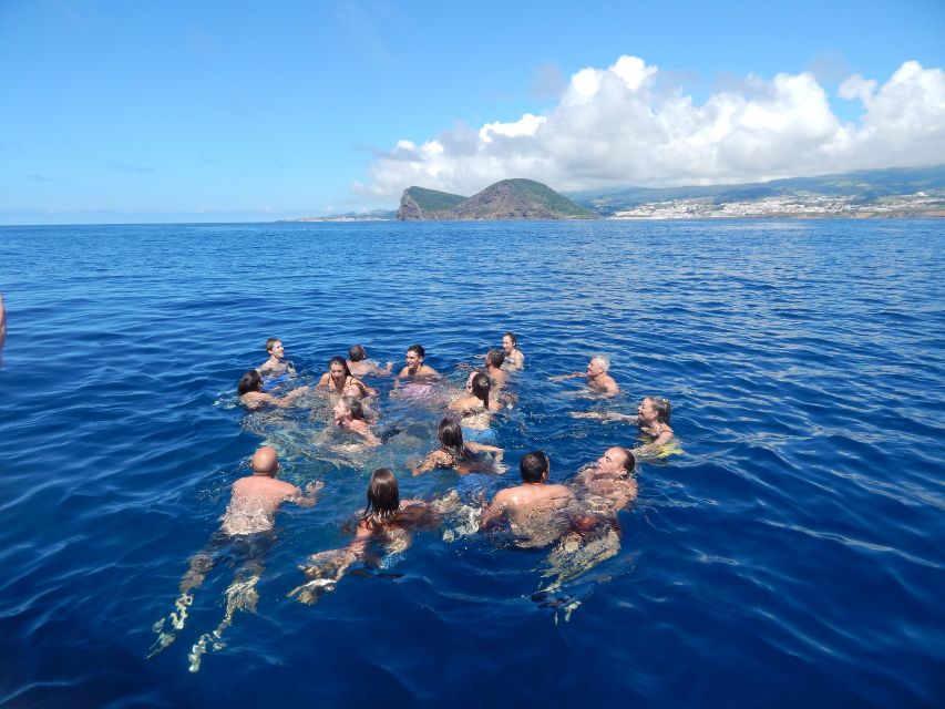Terceira Island: Ilhéus Cabras Boat Tour | Protected Area - Wildlife spotting odds: dolphins and seabirds, with the right expectations