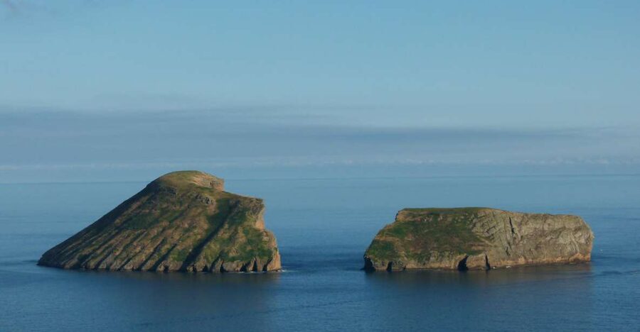 Terceira Island: Ilhéus Cabras Boat Tour | Protected Area - The optional swim: how to plan a quick water break