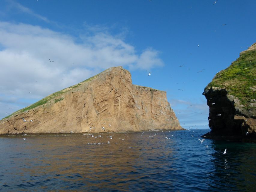 Terceira Island: Ilhéus Cabras Boat Tour | Protected Area - On-board rules that affect comfort and cleanliness