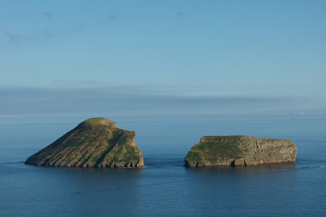 Terceira Island: Ilhéus das Cabras Boat Tour | Protected Area - Key Things You Will Notice On This Ilhéus das Cabras Tour