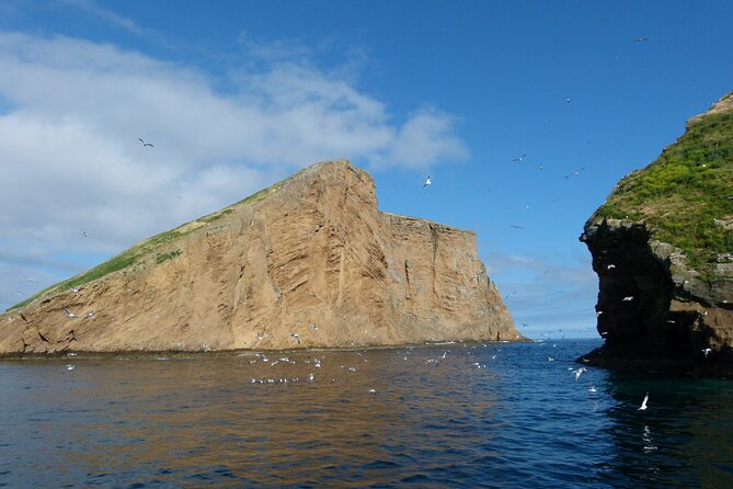 Terceira Island: Ilhéus das Cabras Boat Tour | Protected Area - When You Can Swim in the Atlantic (And When You Should Expect Not To)