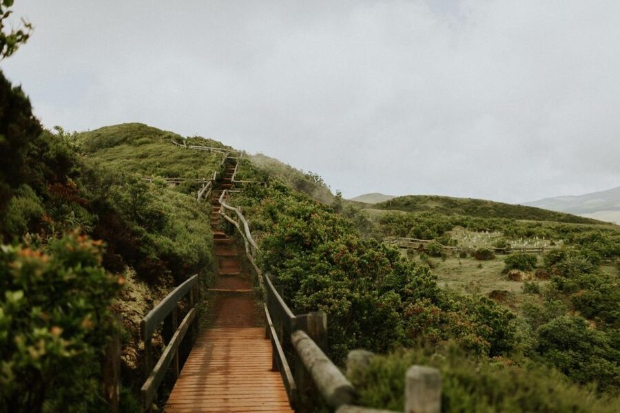 Terceira Island - Jeep Safari Tour (FD) - Vaquinha cheese tasting, a real local stop that is included
