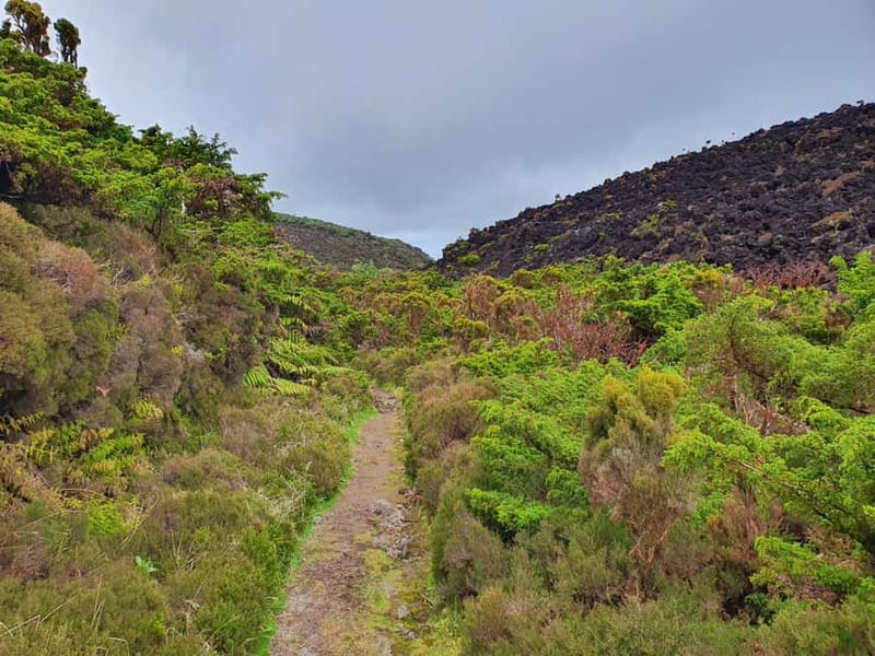 Terceira Island: Mistérios Negros Hike + Picnic + Biscoitos - Key Things You’ll Remember About Mistérios Negros + Biscoitos