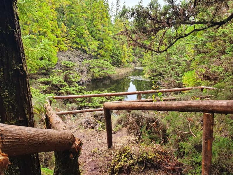 Terceira Island: Mistérios Negros Hike + Picnic + Biscoitos - How the Guide Changes the Experience (Antonio and Pedro as Examples)