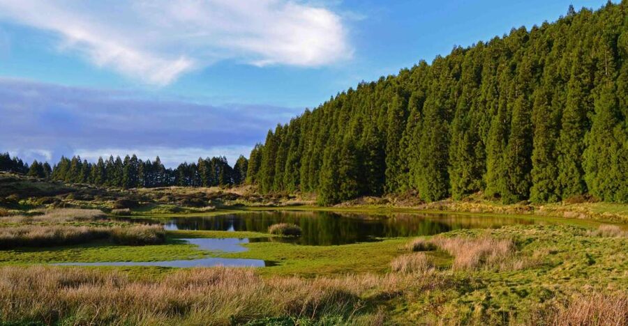 Terceira Island: Mistérios Negros Hiking - Small lakes, volcanic domes, and why the route is built this way