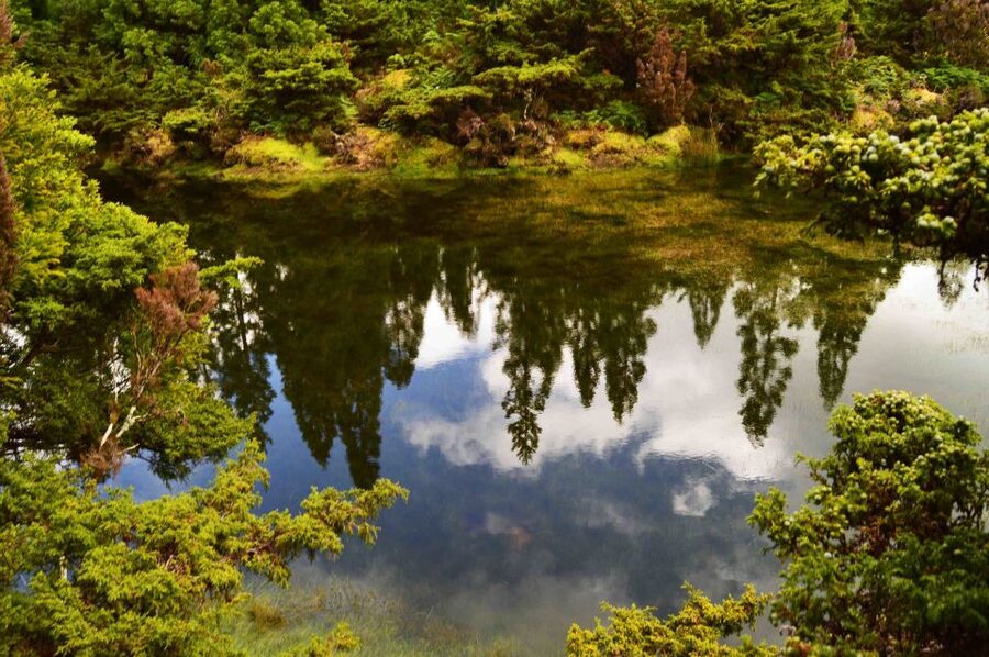 Terceira Island: Mistérios Negros Hiking - The 5 km loop and 2.5 hours on the trail: pacing that feels doable
