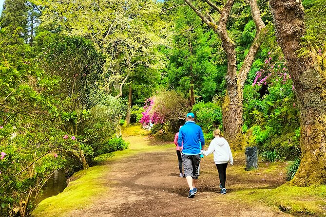 Terceira Island Private Full-Day Slow Tour with Lunch and Pickup - Pickup, private van comfort, and what to expect logistics-wise