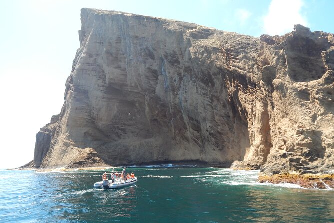 Terceira Island: Snorkeling Wildlife | Protected Areas - Terceira Snorkeling in Protected Waters Near Angra do Heroísmo