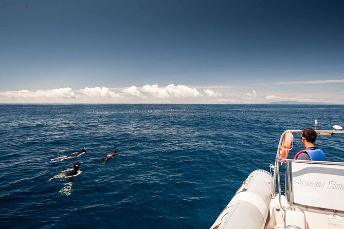 Terceira Island: Snorkeling Wildlife | Protected Areas - Fast Kitting Up, Wetsuits Included, and a Max of 12