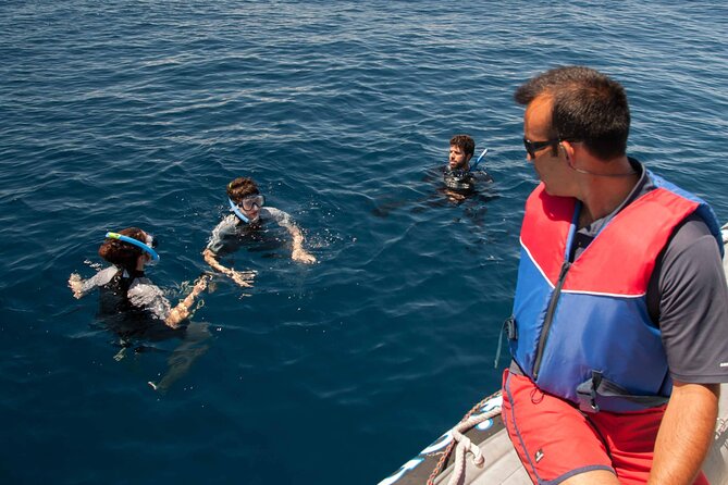 Terceira Island: Snorkeling Wildlife | Protected Areas - The Short Boat Ride to Your Snorkeling Island