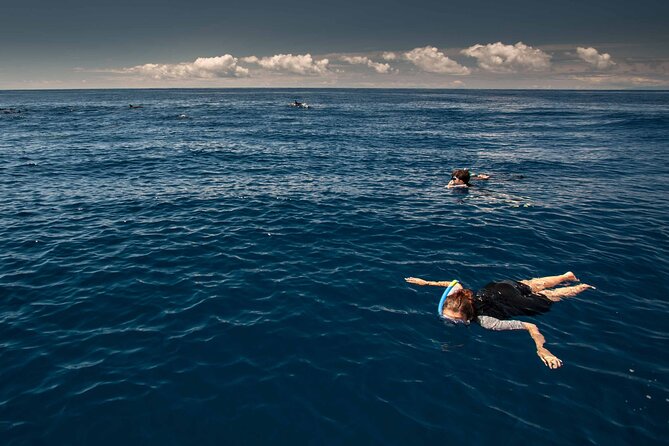 Terceira Island: Snorkeling Wildlife | Protected Areas - Snorkeling Time, Wildlife Focus, and Why Protected Areas Matter