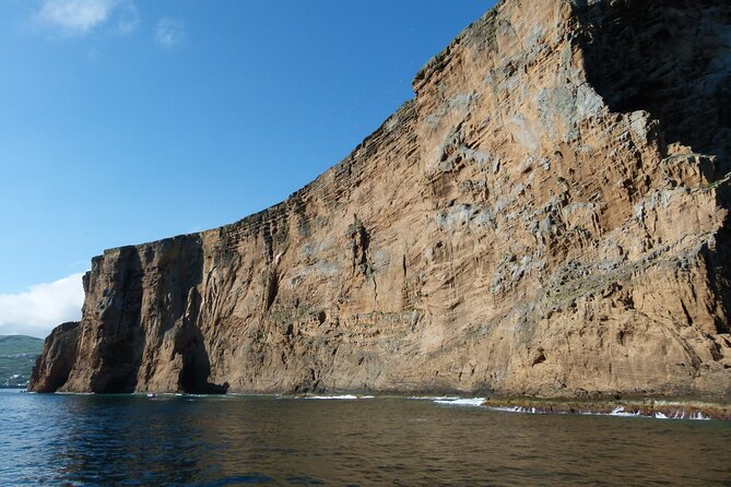 Terceira Island: Snorkeling Wildlife | Protected Areas - What happens in your 2-hour snorkeling window