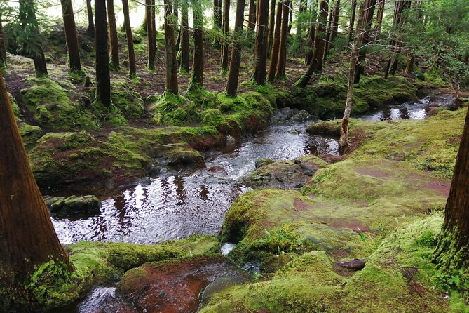 Terceira Island Transfers | Azores - Key things that make this transfer worth your time