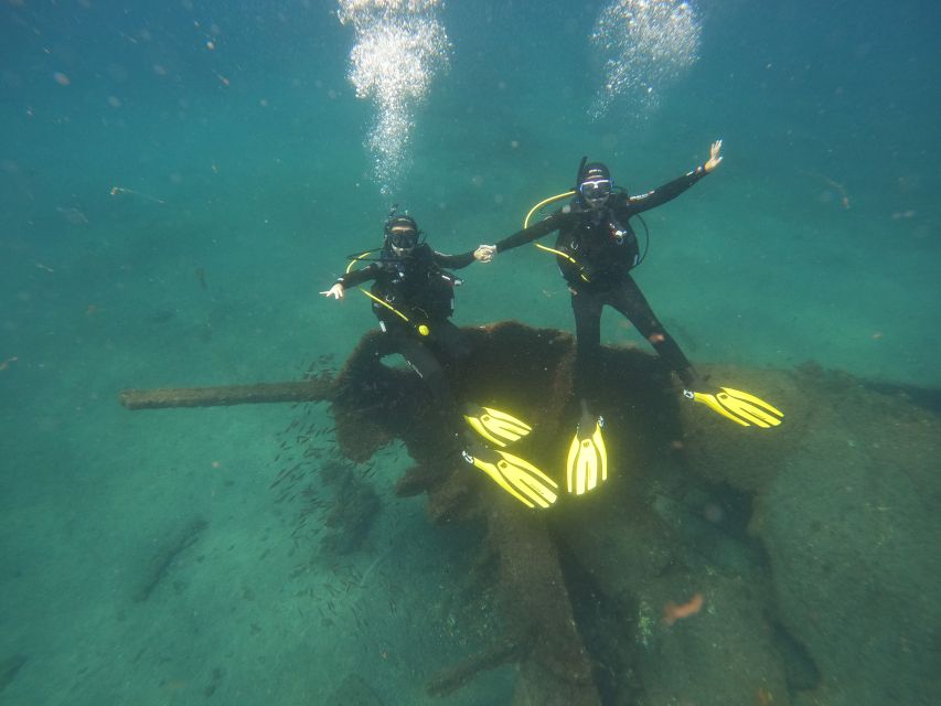 Terceira Island:Try Scuba in a Shipwreck-Archeological park - Key highlights you’ll feel right away