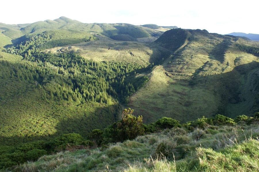 Terceira Island: Walking Trails Hiking Tour - Price and Value: Why $64 Can Make Sense on Terceira