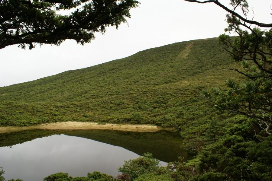 Terceira Island: Walking Trails Hiking Tour - Forest Hills in the Center, Where Lagoa Negra Sets the Mood