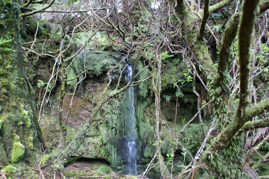 Terceira Island Whale Watching and Jeep Tour - Key points you should know before you go