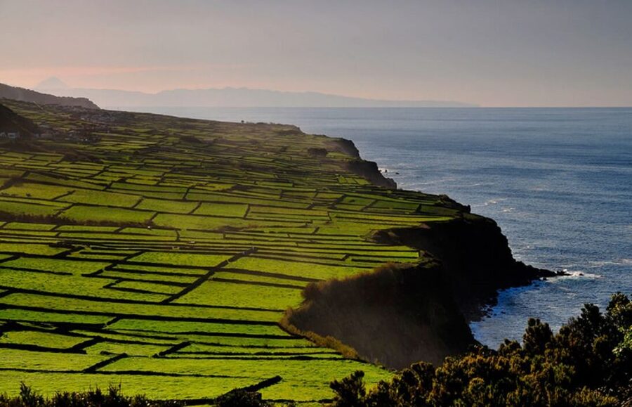 Terceira Island Whale Watching and Jeep Tour - Should you book the Terceira whale watching and jeep tour?