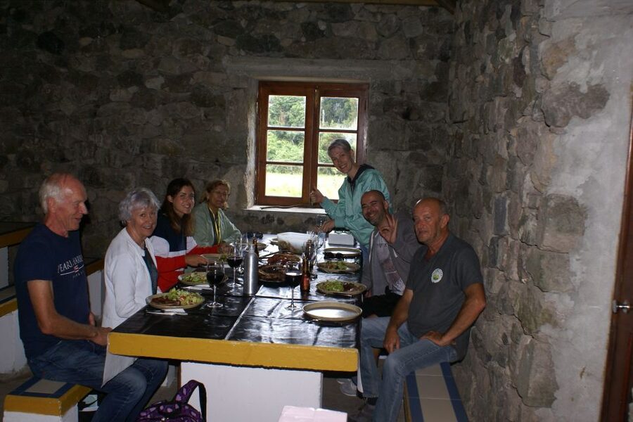 Terceira Island Whale Watching and Jeep Tour - Jeep adventure on narrow farm tracks: why this feels different