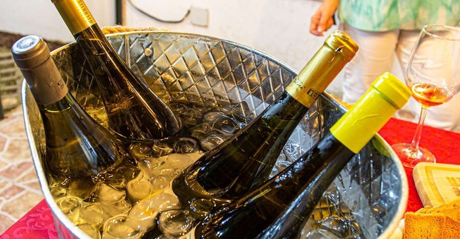 Terceira: Volcanic Wine Tasting Tour with Tapas - Walking Volcanic Terroir and Spotting Curraletas Along the North Coast