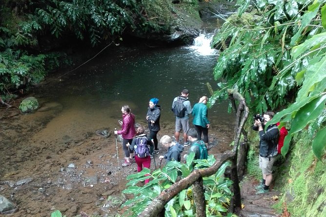 The Great waterfalls Hiking tour - Guides, Small Groups, and the Feeling of Learning on Foot