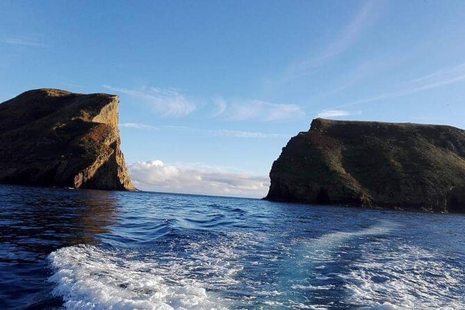 Third Island: Ilhéu das Cabras Boat Tour + Snorkeling - Key reasons this tour works well