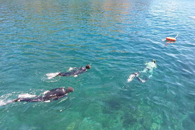 Third Island: Ilhéu das Cabras Boat Tour + Snorkeling - Ilhéu das Cabras snorkeling: what you’re really paying for