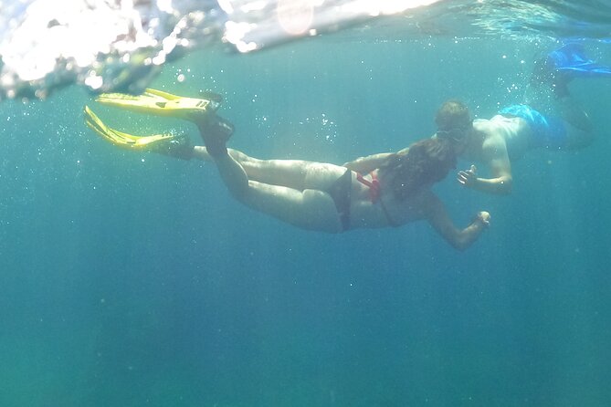 Third Island: Ilhéu das Cabras Boat Tour + Snorkeling - Price and value: $54.01 for 90 minutes of guided ocean time