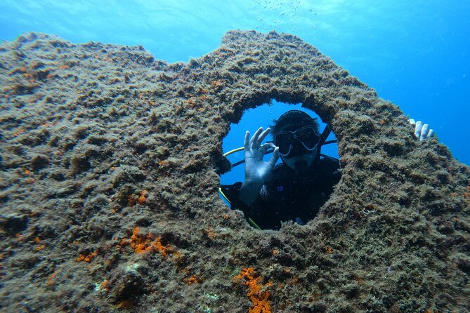 Third Island:Try Scuba in a Shipwreck-Archeological park - The Lidador shipwreck: why 1878 matters underwater