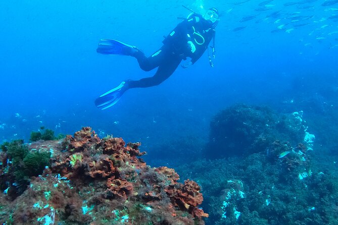 Third Island:Try Scuba in a Shipwreck-Archeological park - When weather changes the plan: how to think about that risk