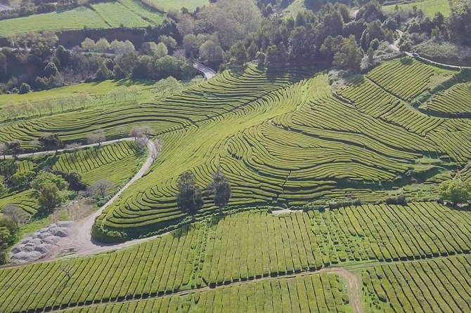 Tour to Furnas and Terra Nostra Garden - full day - What you eat in Furnas: cozido das Furnas lunch