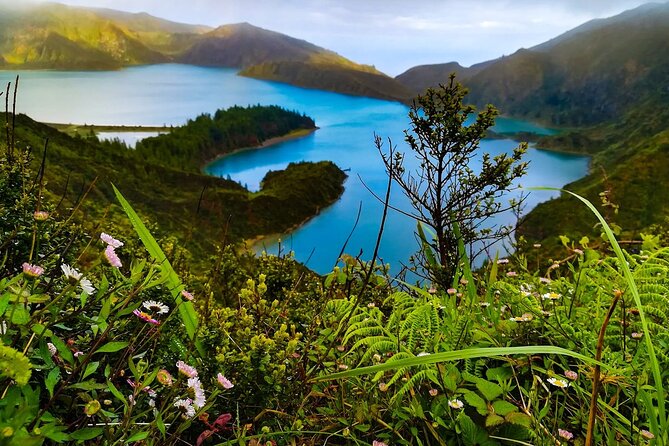 Tour to Sete Cidades, Lagoa do Fogo and Furnas - Why This São Miguel Lakes and Furnas Circuit Fits One Day