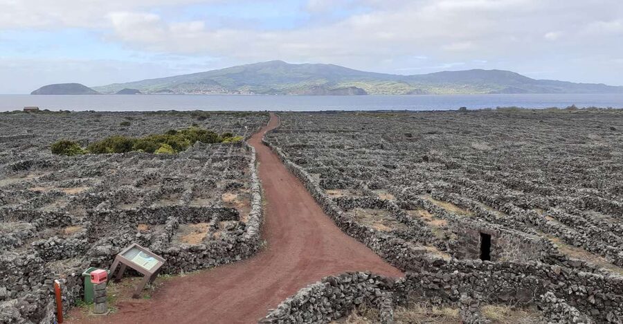 Tours on Pico Island - Cultural and Natural Landscape - Key reasons this Pico day tour works well