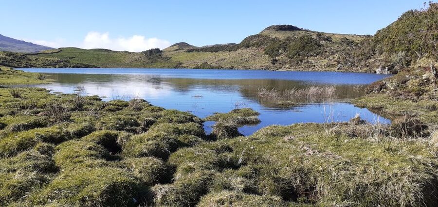 Tours on Pico Island - Cultural and Natural Landscape - The village trio: Madalena, São Roque do Pico, and Lajes do Pico