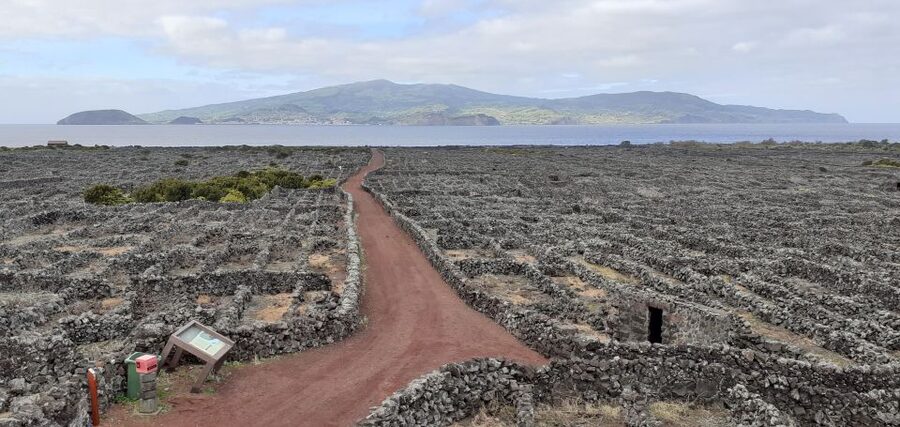 Tours on Pico Island - Cultural and Natural Landscape - Meeting points, hotel pickup, and how the day is paced