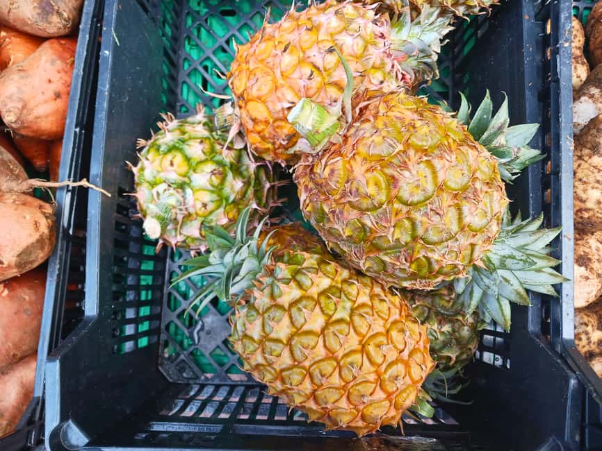 Traditions & Flavors of São Miguel - Pineapple plantation tasting and Azorean cultivation know-how