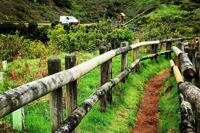Underground Van Tour (Half Day) | Terceira Island - Algar do Carvão closure, Biscoitos natural pools, and volcanic reality