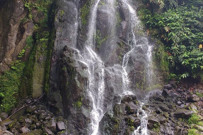 Van – Scenictour – Nordeste / Povoação – Full Day/ with lunch (Shared) - Vila Franca Museum Stop: Context After the Views
