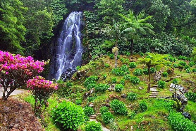 Van Tour Nordeste - Nordeste Van Tour: What This Day Trip Feels Like