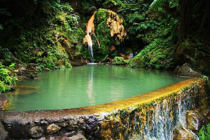 Van Tour Sete Cidades + Lagoa do Fogo Full-Day - Key highlights worth getting excited about