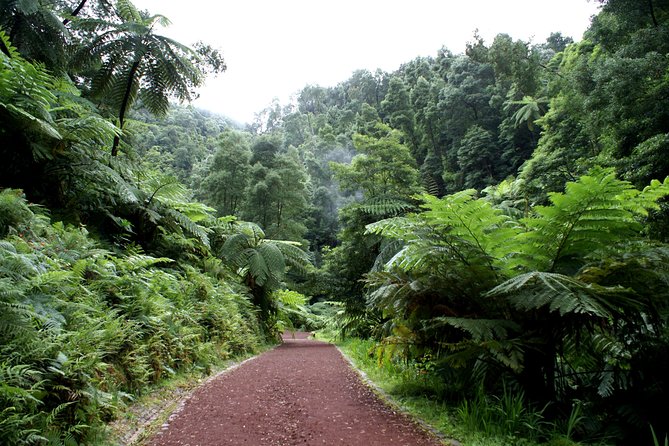 Van Tour Sete Cidades + Lagoa do Fogo Full-Day - Stop 1: Arruda Pineapple Plantation, a local fruit lesson with time to taste