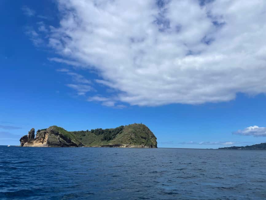 Vila Franca do Campo: Marine Life & Bird Watching & Islet Tour - The early photo stop: birds and marine life on the move