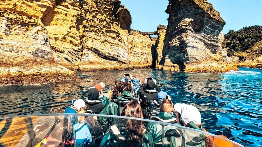 Vila Franca Islet: Bioligist Guided 0% Carbon e-Boat Tour - The 5 minutes out, then the main 35 minutes circling Ilhéu de Vila Franca